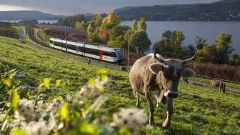 Experience the lake line with Thurbo Experience the lake line with Thurbo