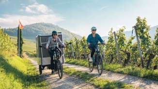 2024, Thurgau, Switzerland Tourism, Schaffhausen