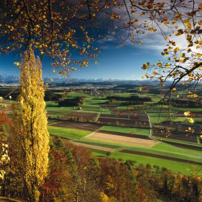 View Sonnenberg Stettfurt Lommis